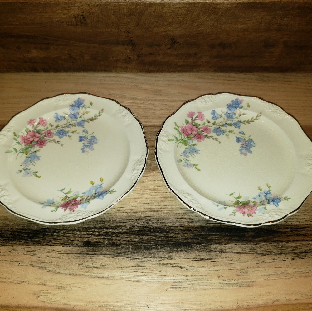 Vintage TST Chelsea Pattern Set of 2 Plates